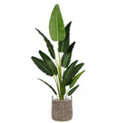 XIMENA WATER HYACINTH PLANTER ArtiPlanto