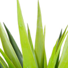 YARA ARTIFICIAL AGAVE POTTED PLANT 51'' ArtiPlanto