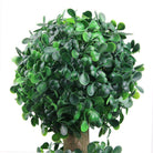 YORK Faux Potted Boxwood Topiary Plant 3' ArtiPlanto