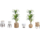 YULU ARTIFICIAL AGAVE POTTED PLANT (MULTIPLE SIZES) ArtiPlanto