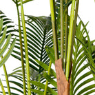 ZANE ARTIFICIAL PALM TREE POTTED PLAN 10' ArtiPlanto