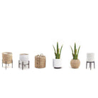ZORA Artificial Snake Sansevieria Yellow And Green Potted Plant 30'' ArtiPlanto