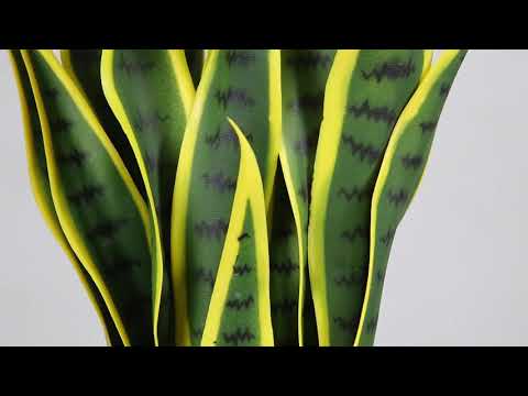 sycamore faux sansevieria Artificial Snake Sansevieria Yellow Green Potted Plant