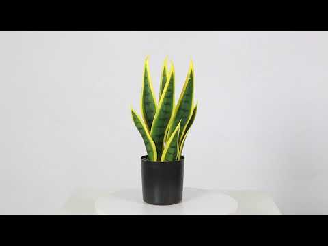 amazon snake plant Luna Snake Sansevieria Yellow Green 35 Artificial Potted Plant